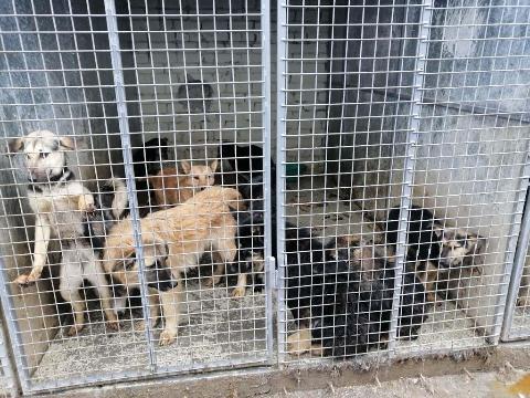 post-31584 thumbnail