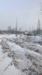 post-19617 thumbnail