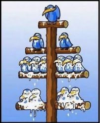 post-22666 thumbnail