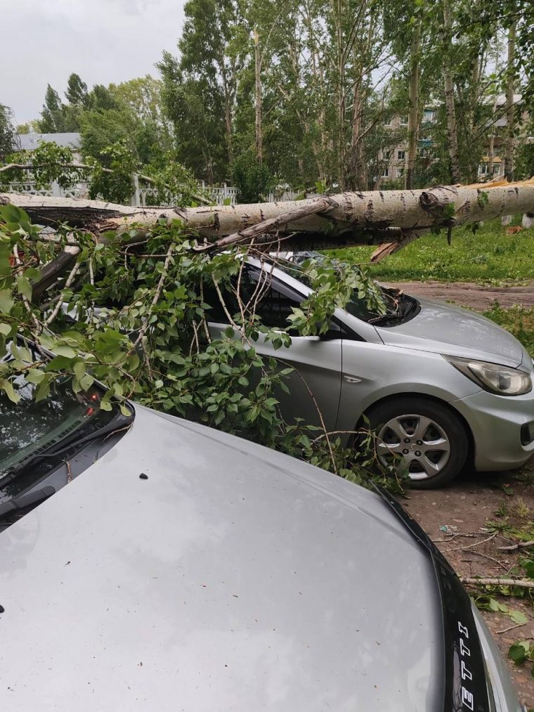 post-27822 thumbnail