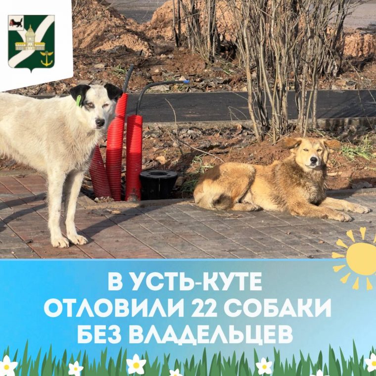 post-27536 thumbnail