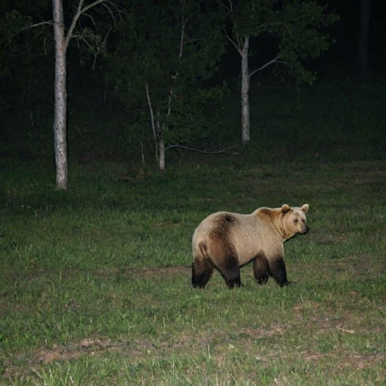 post-28441 thumbnail