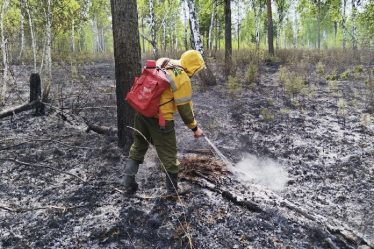 post-28725 thumbnail