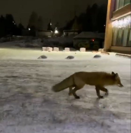 post-32532 thumbnail