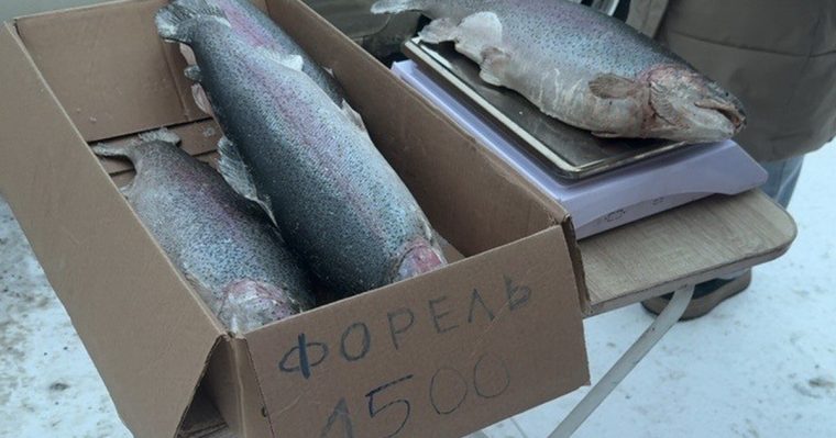 post-33499 thumbnail