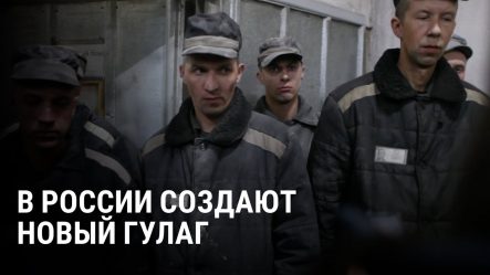 post-34119 thumbnail