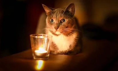 post-35199 thumbnail